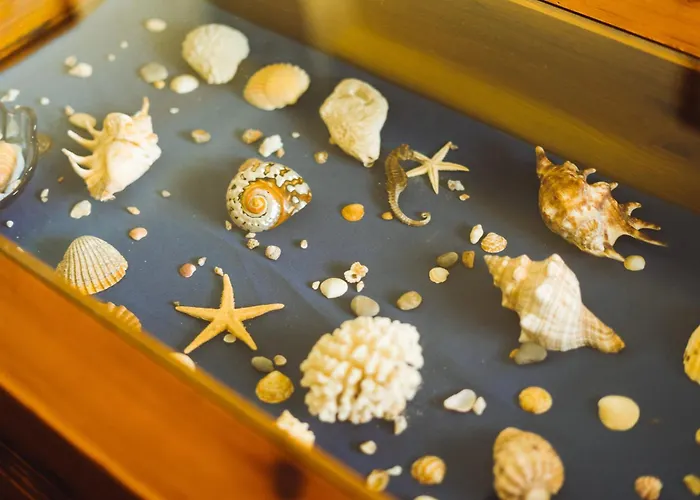 18 - Typical Portuguese Appartamento *